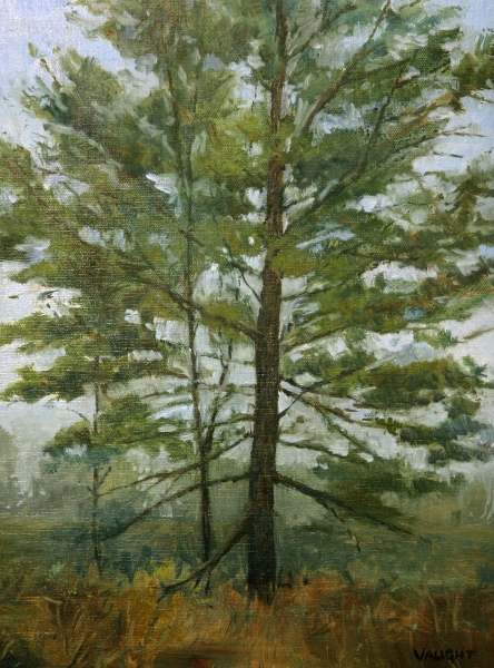 aught_white_pine_oil_on_linen_panel_475