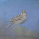 Sparrow by Elana Hagler, oil on canvas 16 x 20 $3,600